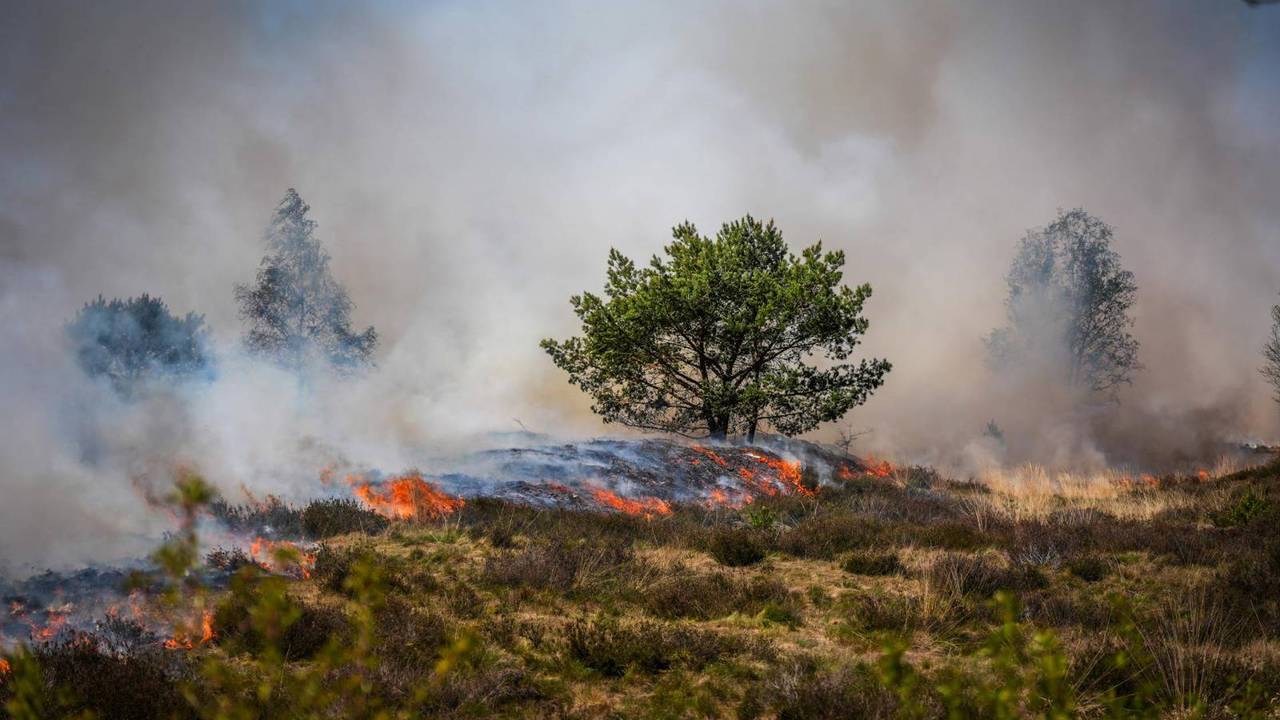 Zeer grote brand op Oirschotse Heide (foto: Persbureau Heitink).