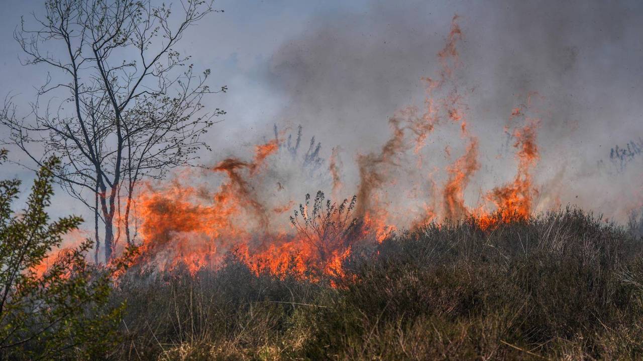 Zeer grote brand op Oirschotse Heide (foto: Persbureau Heitink).