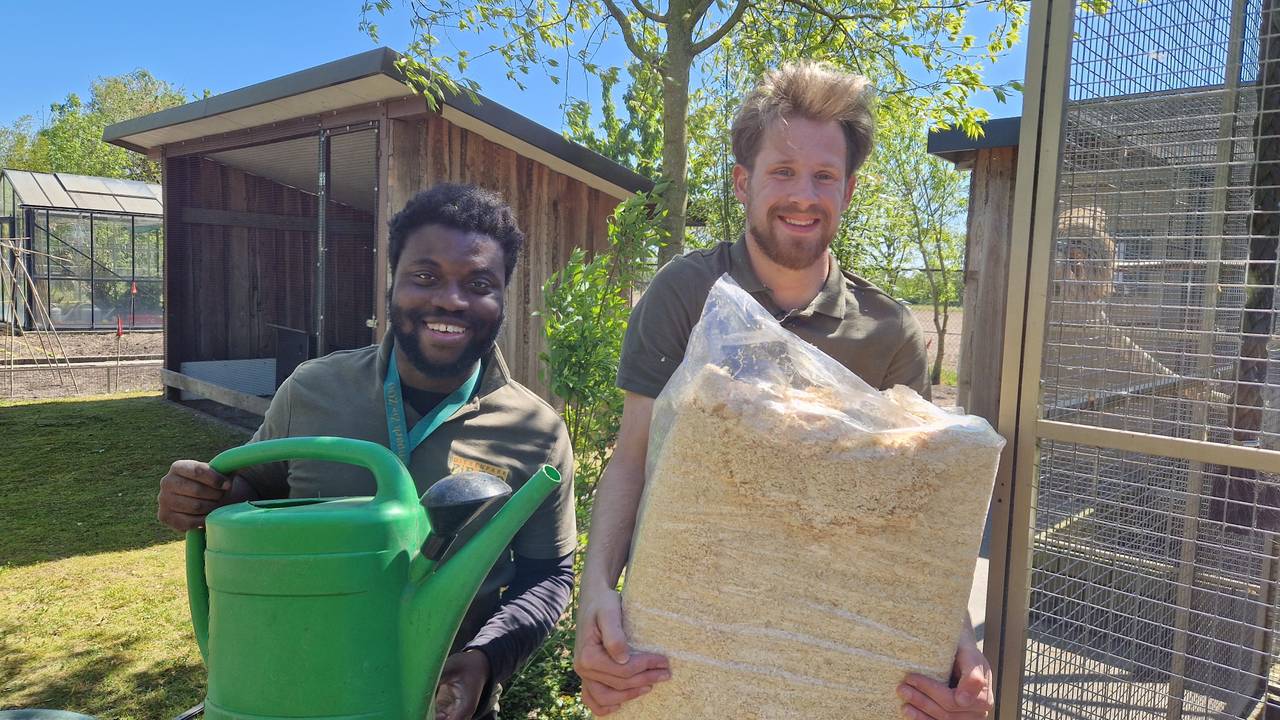 Werken in de dierentuin met autisme