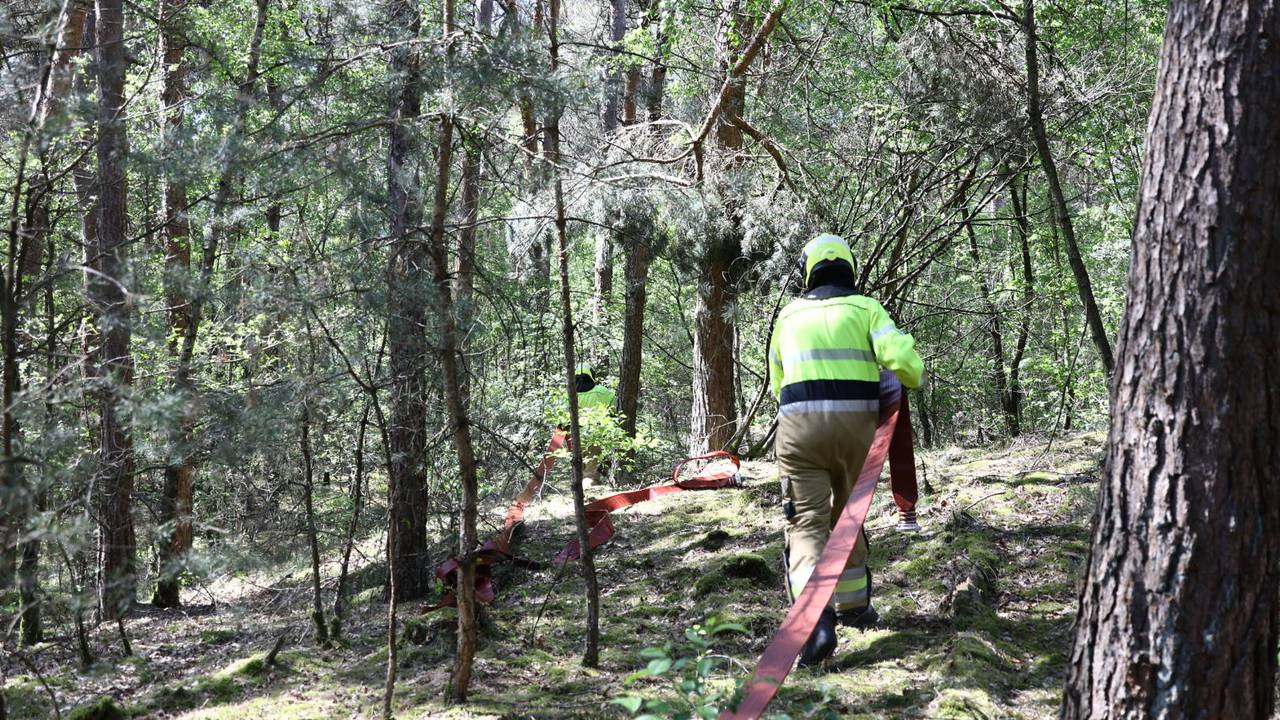 Ook grote bosbrand in Overloon (foto: Persbureau Heitink).