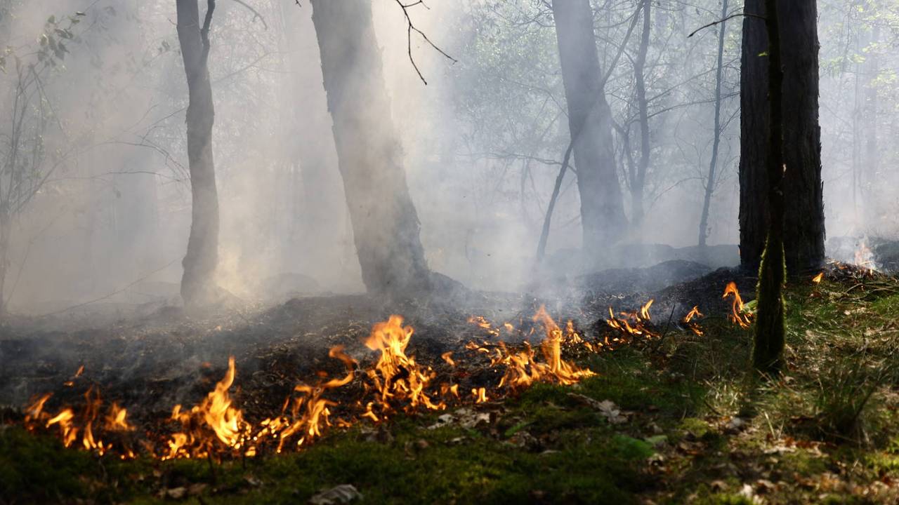 Ook grote bosbrand in Overloon (foto: Persbureau Heitink).