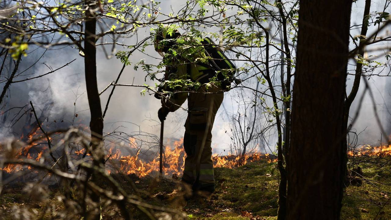 Ook grote bosbrand in Overloon (foto: Persbureau Heitink).