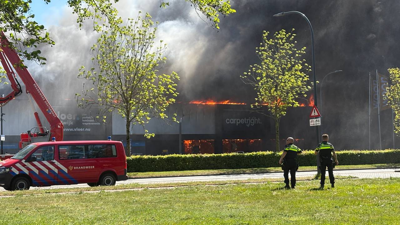 Carpetright in brand (foto: Rochelle Moes).