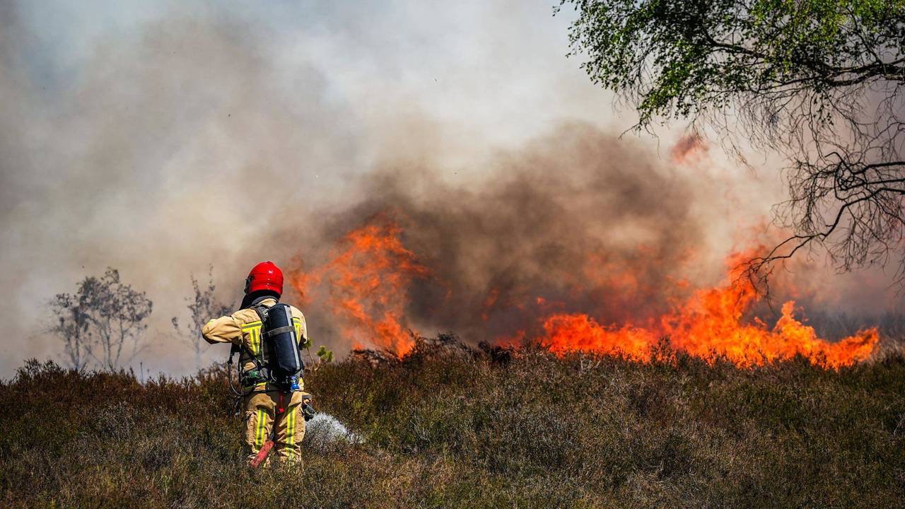 De vuurzee op de Oirschotse Heide (foto: Persbureau Heitink).