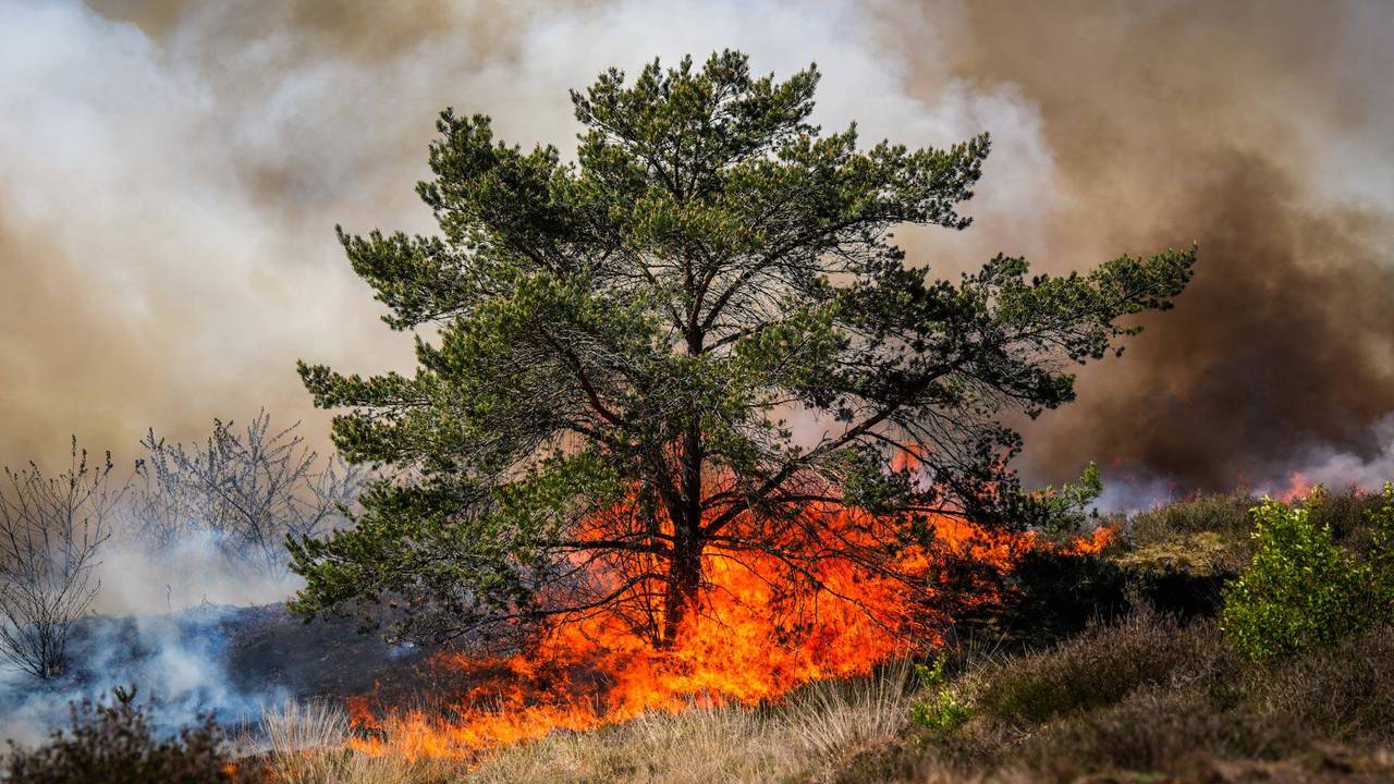 De vuurzee op de Oirschotse Heide (foto: Persbureau Heitink).