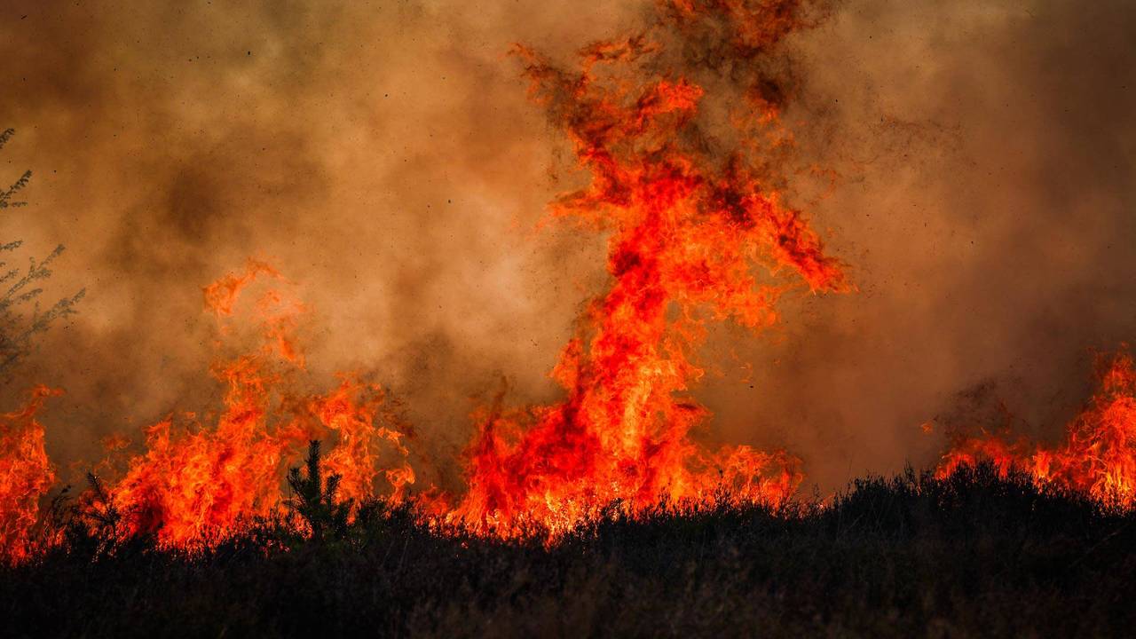 Een vuurzee op de Oirschotse Heide (foto: Persbureau Heitink).