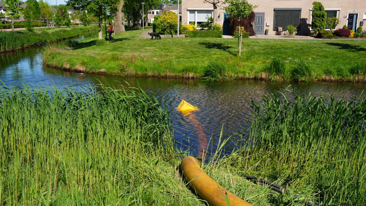 Foto: Erik Haverhals/Persbureau Heitink.