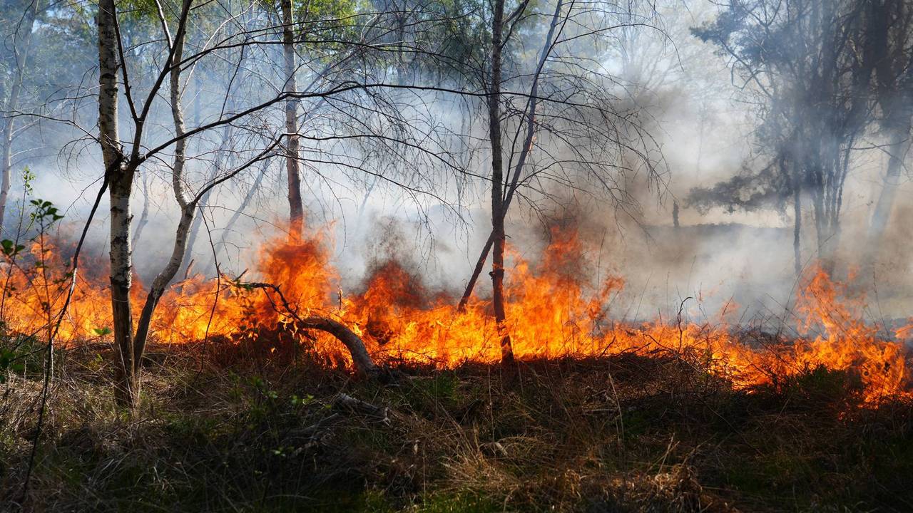 Door de droogte kan het vuur snel verspreiden (foto: Jeroen Stuve / Persbureau Heitink).
