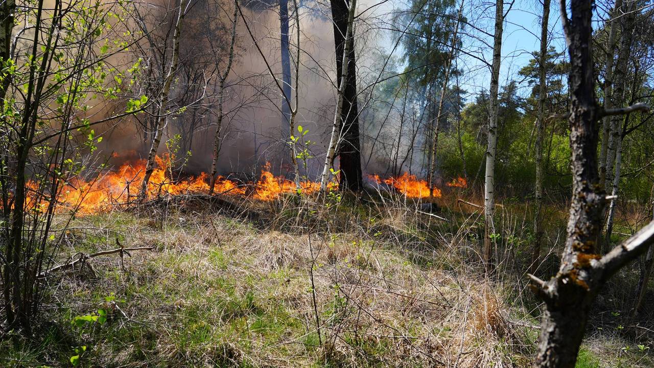 Automobilisten kunnen last hebben van de rook (foto: Jeroen Stuve / Persbureau Heitink)