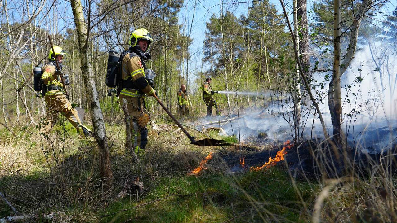 De brand woedt in een bosgebied (foto: Jeroen Stuve / Persbureau Heitink).
