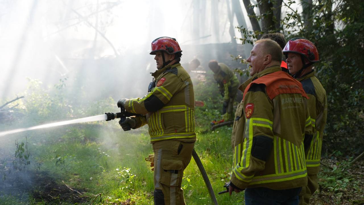 Brand uitgebroken bij bos in Loon op Zand, veel brandweerlieden aanwezig