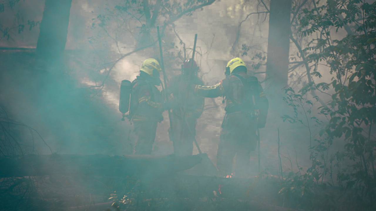 Bosbrand in Loon op Zand (foto: Erik Haverhals/Persbureau Heitink).