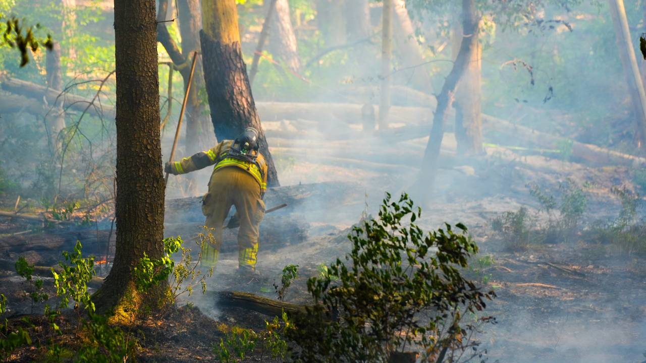 vBosbrand in Loon op Zand (foto: Erik Haverhals/Persbureau Heitink).