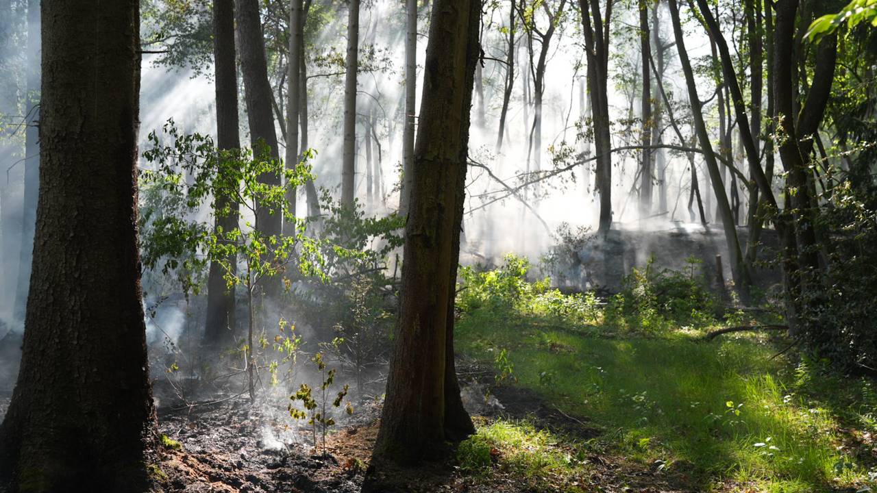 Bosbrand in Loon op Zand (foto: Erik Haverhals/Persbureau Heitink).