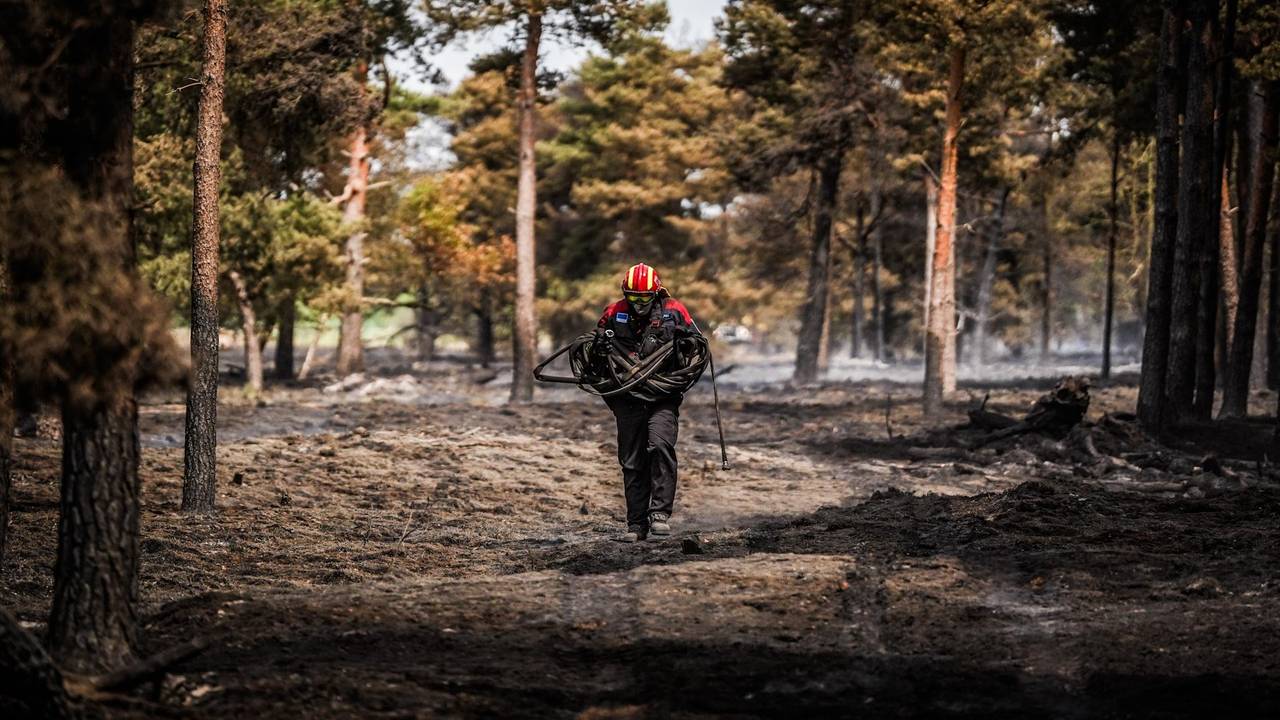 Afgebrand bos (foto: Sem van RIjssel)