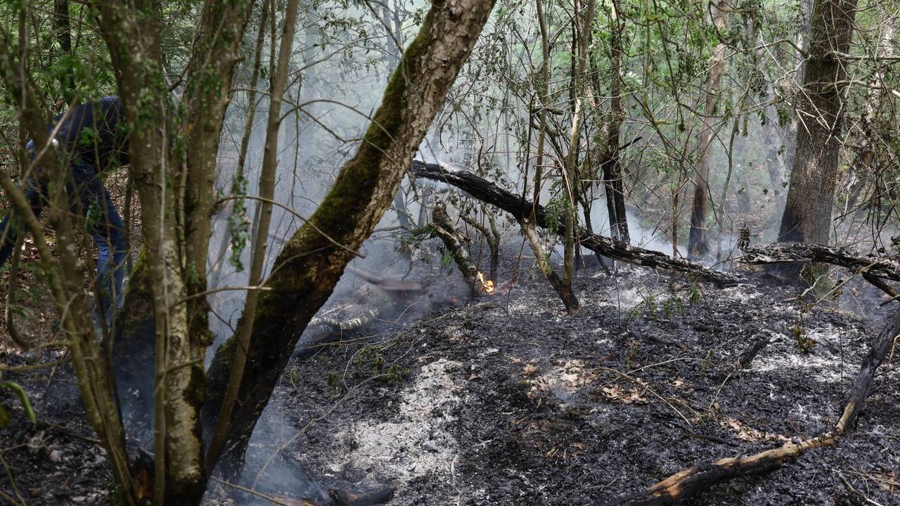 De brand in het bos bij Boxmeer (SK-Media/Persbureau Heitink).