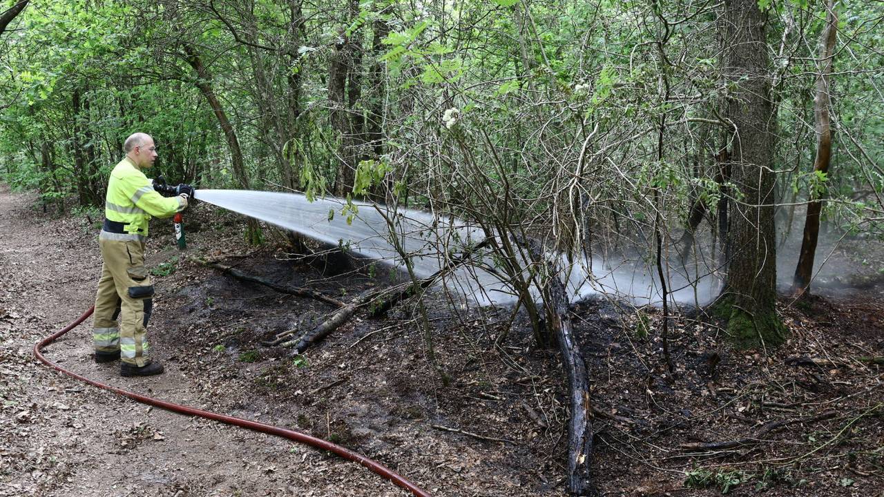 De brand in het bos bij Boxmeer (SK-Media/Persbureau Heitink).