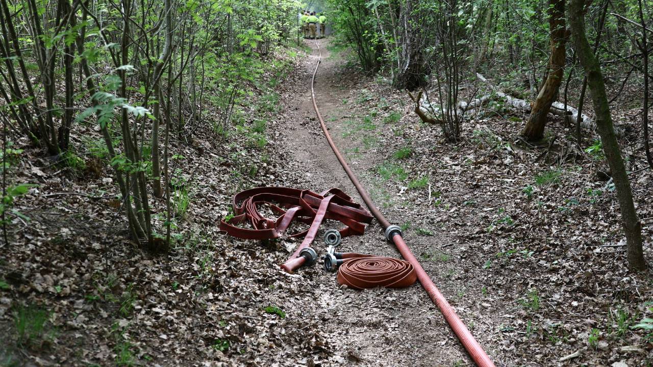 De brand in het bos bij Boxmeer (SK-Media/Persbureau Heitink).