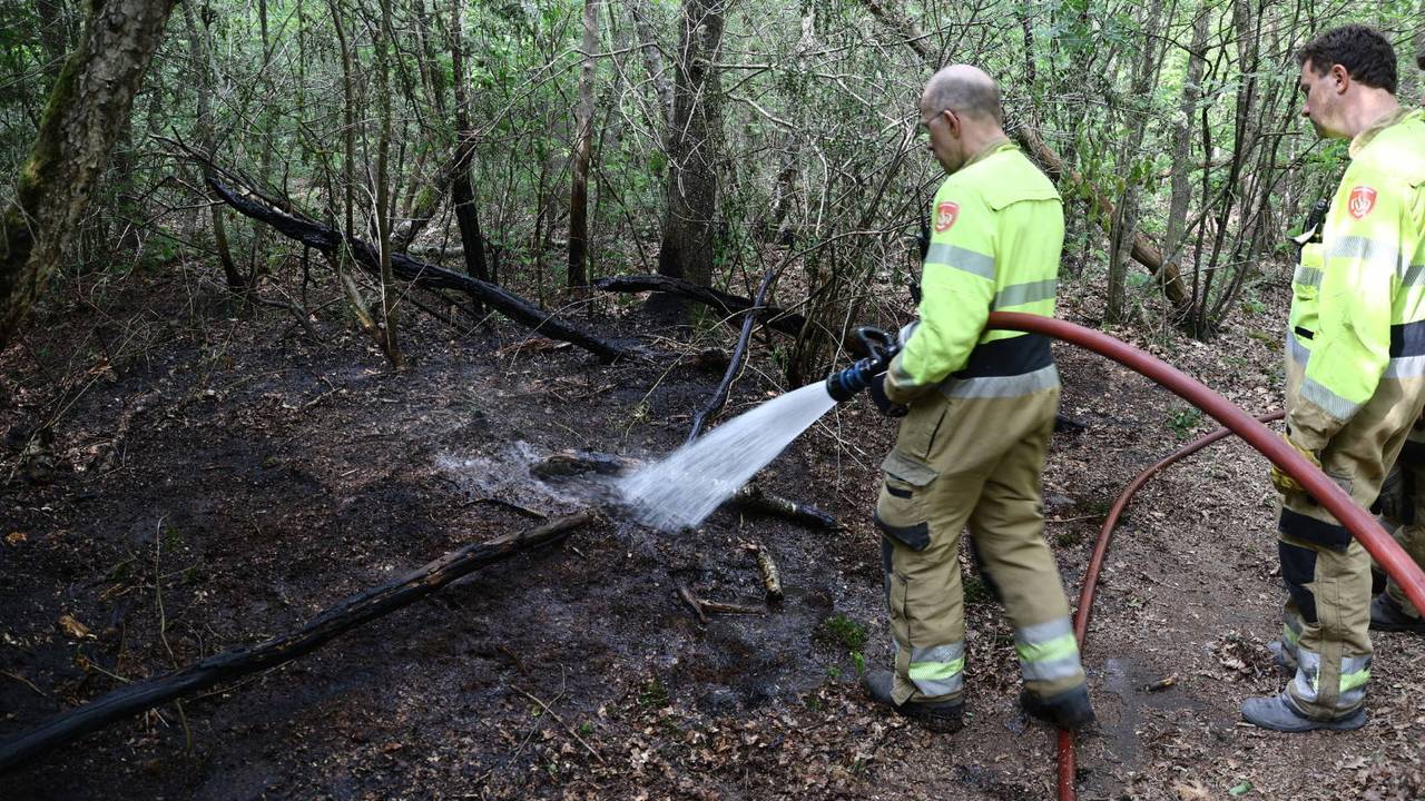 Brandweer schaalt meteen op bij bosbrand in Boxmeer