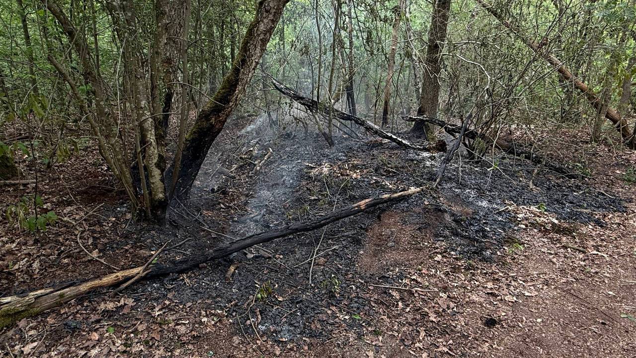 De brand in het bos bij Boxmeer (SK-Media/Persbureau Heitink).