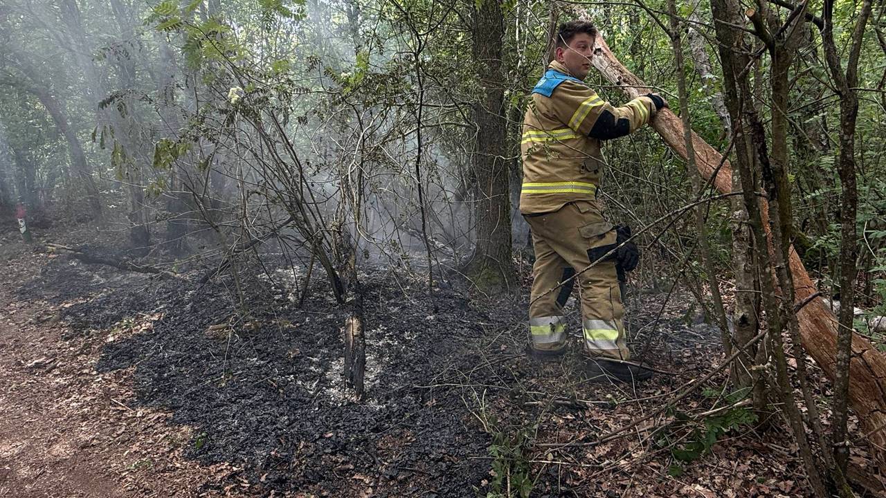 De brand in het bos bij Boxmeer (SK-Media/Persbureau Heitink).