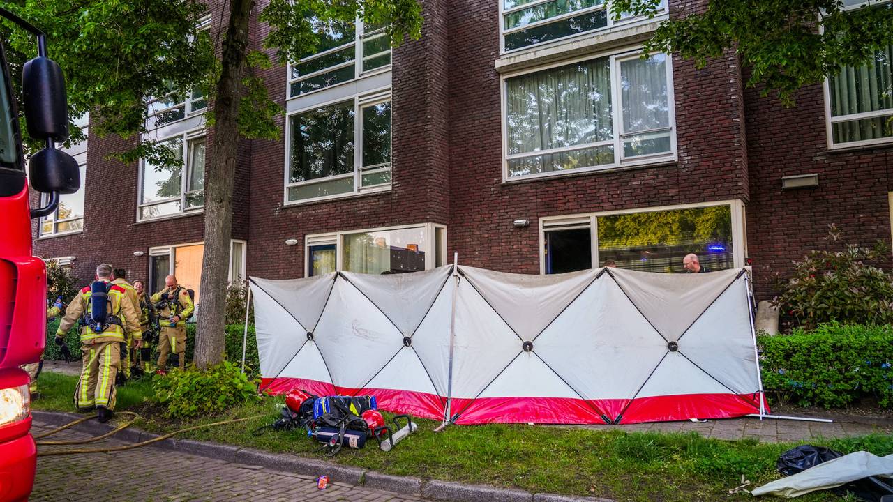 Vanwege de vondst van de dode man werden schermen voor het huis aan de Van Erpstraat in Geldrop geplaatst (foto: Dave Hendriks/Persbureau Heitink).