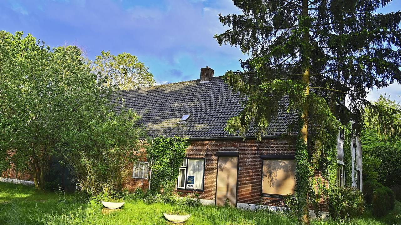 Durgslab in Vessem ontmandeld (foto: Rico Vogels / SQ Vision).