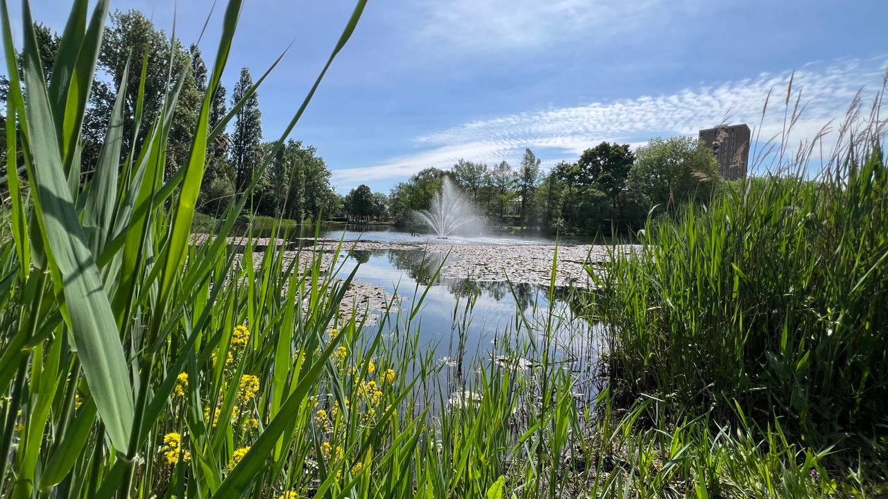 Lekker wandelweer in Breda (foto: Henk Voermans).