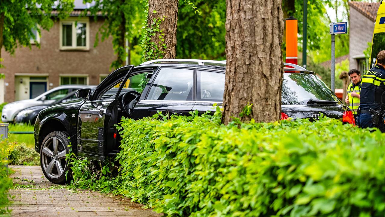 Auto belandt in de bosjes in Heesch