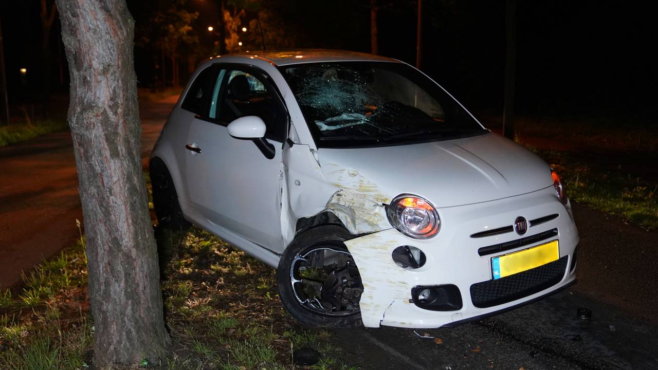 Foto: Bart Meesters/Persbureau Heitink.