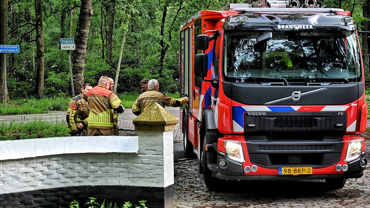 Ree zit vast in hek bij natuurgebied, brandweer bevrijdt dier (foto: Toby de Kort / Persbureau Heitink).