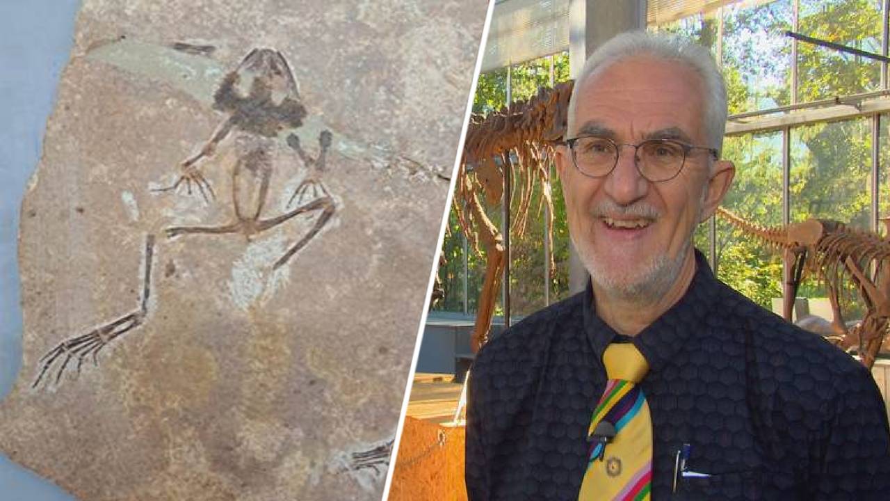 Links het kikkerfossiel, rechts directeur René Fraaije van het Oertijdmuseum