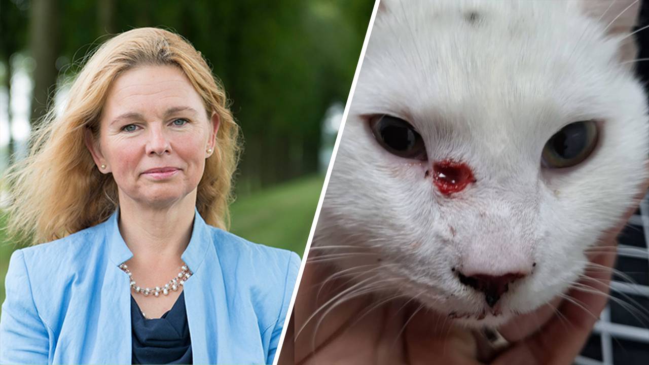 Nienke Endenburg van het Expertisecentrum Dierenmishandeling.