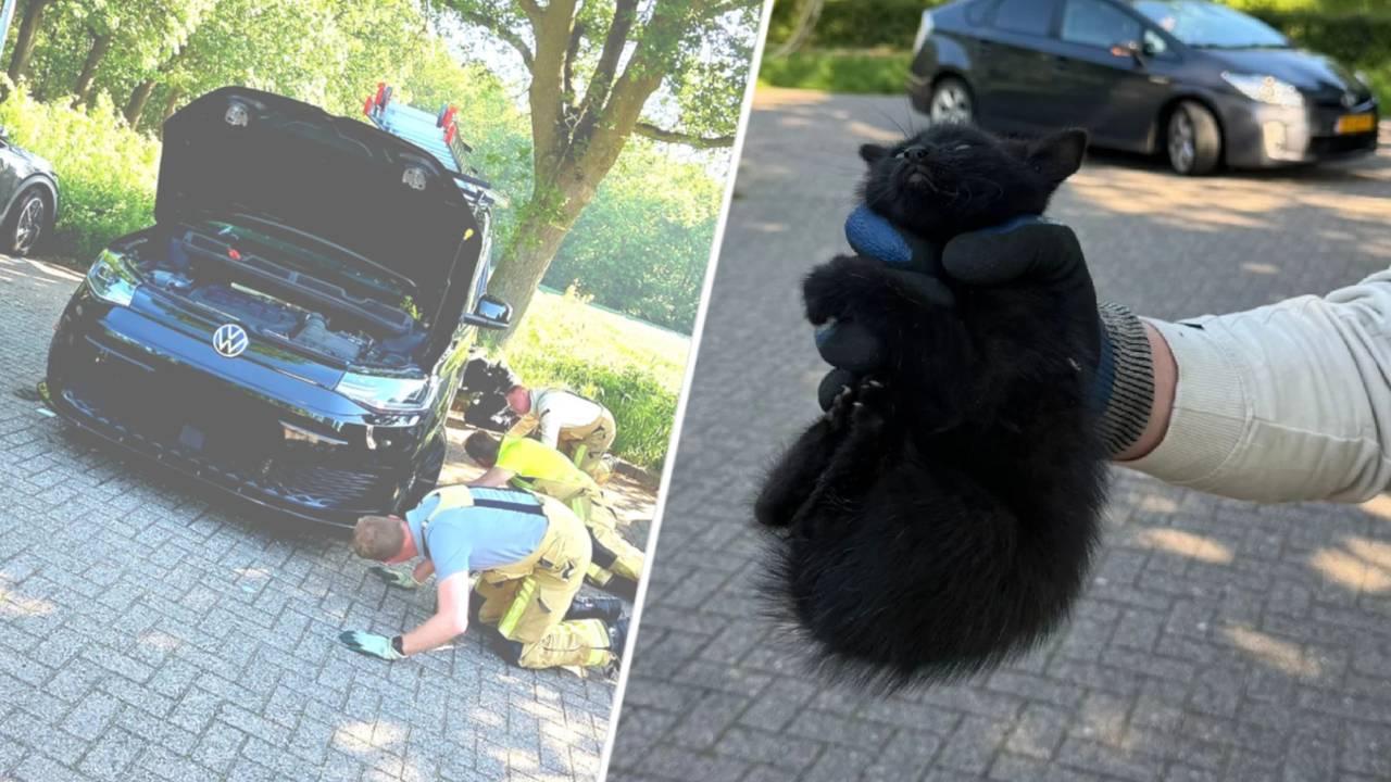 Brandweer en politie redden kitten (foto: Instagram politie Veldhoven en Waalre). 