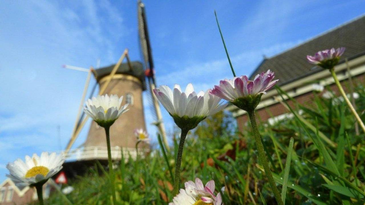 We kunnen nog even genieten van de zon (archieffoto).