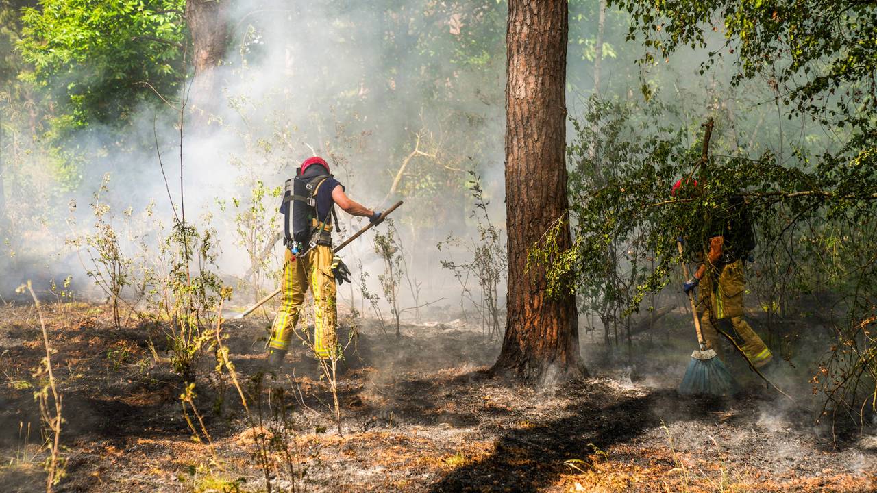 Grote natuurbrand op defensieterrein bij Budel, pannetje gevonden in bos (Foto: Dave Hendriks / Persbureau Heitink).