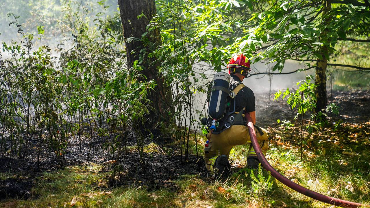 Grote natuurbrand op defensieterrein bij Budel, pannetje gevonden in bos (Foto: Dave Hendriks / Persbureau Heitink).