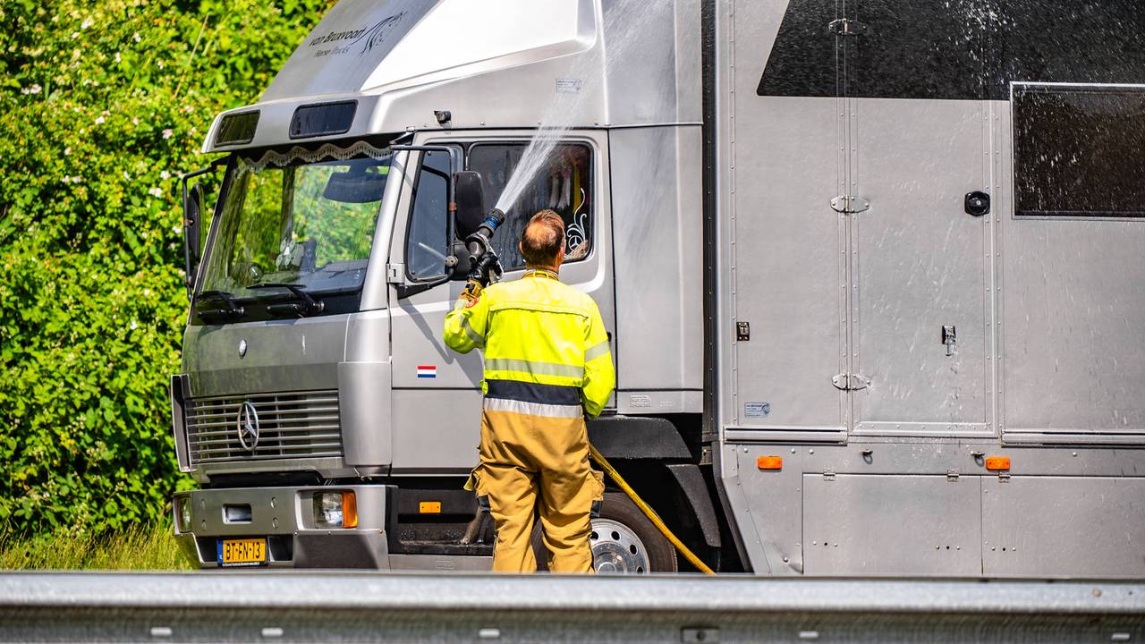 File op A50 bij Oss door paardentrailer met twee lekke banden (foto: Lucas Lammers / Persbureau Heitink).