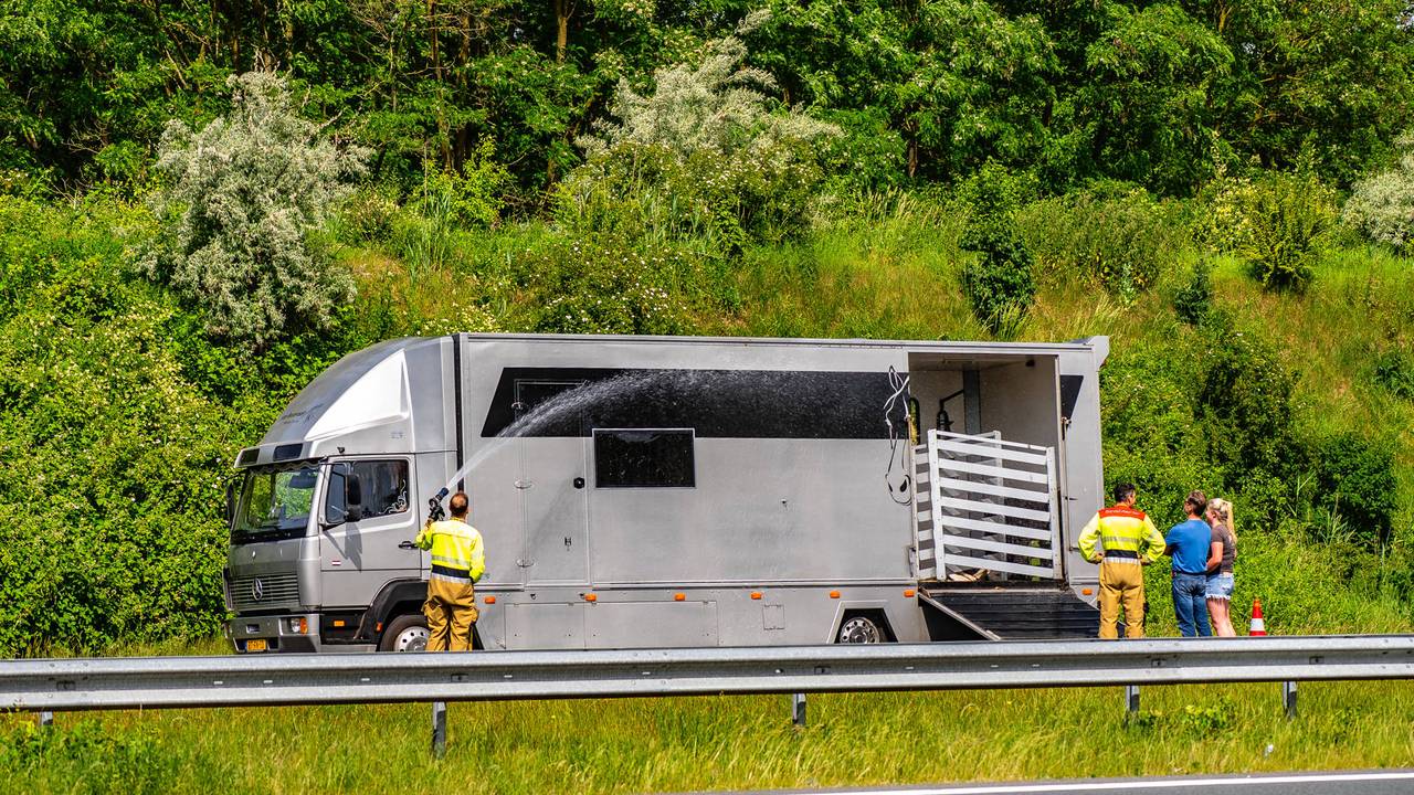 File op A50 bij Oss door paardentrailer met twee lekke banden (foto: Lucas Lammers / Persbureau Heitink).