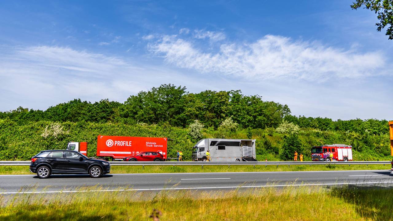 File op A50 bij Oss door paardentrailer met twee lekke banden (foto: Lucas Lammers / Persbureau Heitink).
