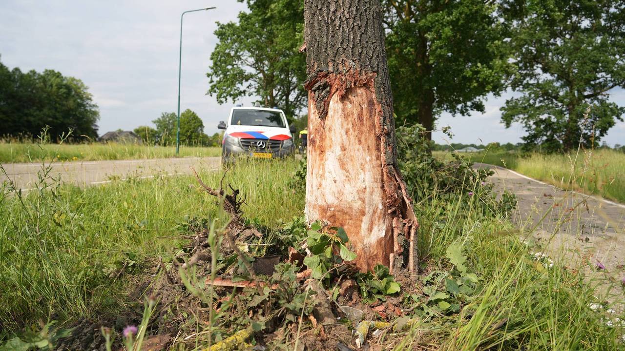 Dronken man botst met bestelbus tegen boom in Gilze (foto: Jeroen Stuve / Persbureau Heitink).