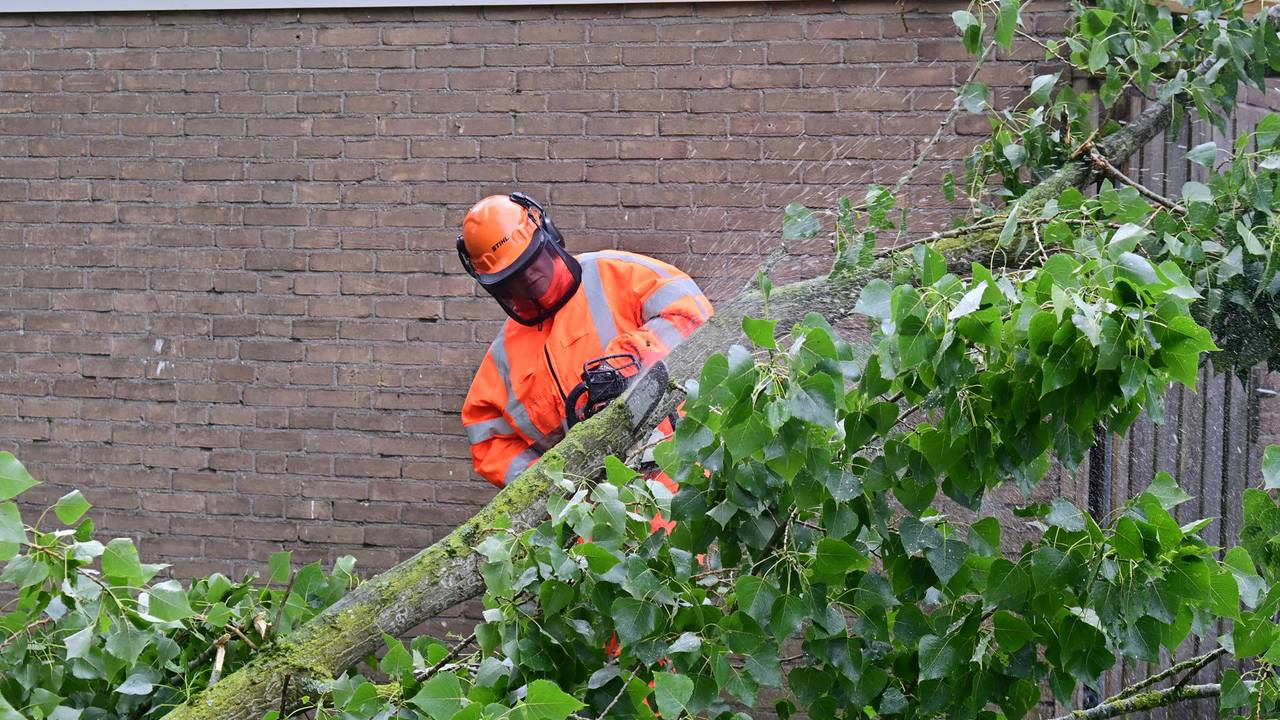 Foto: Perry Roovers / Persbureau Heitink