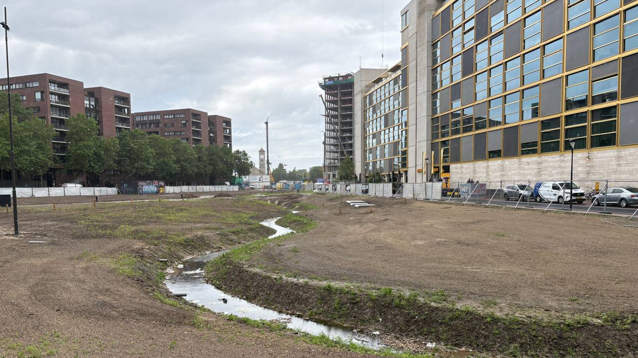 De Gender tussen het beton in het centrum van Eindhoven (foto: Rogier van Son).