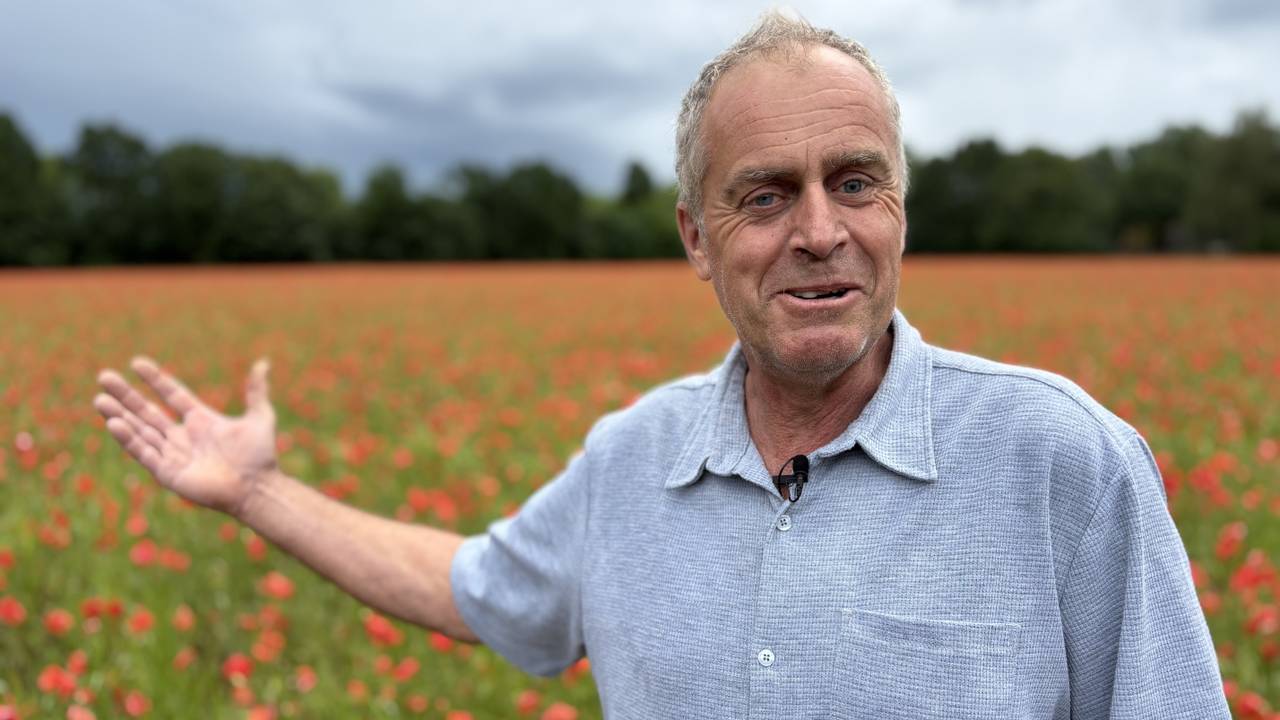 Frank van Wagenberg kan er nog om lachen maar op zijn weiland staan voor zestien voetbalvelden aan klaprozen terwijl hij eigen gras wilde zaaien (foto: Wilco Zonneveld).