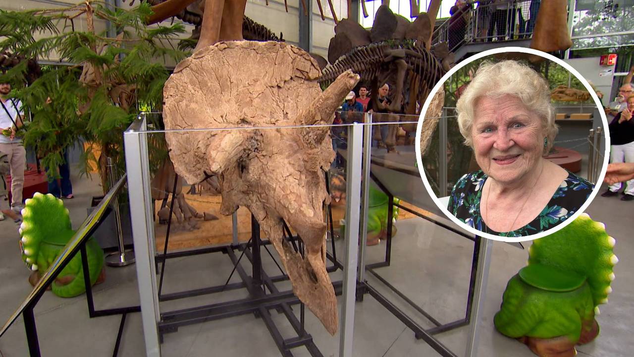 Naamgeefster Veronika van der Sluis en de schedel van Triceratops Veronika