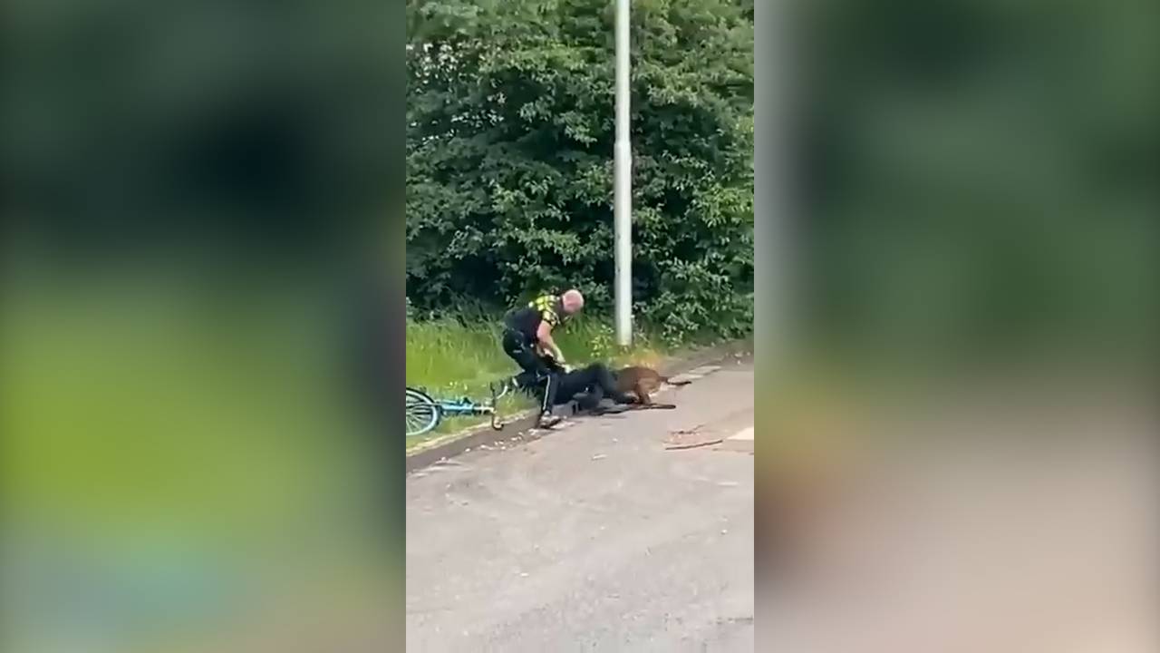 Beelden laten zien hoe politiehond en agent inbreker grijpt in Tilburg