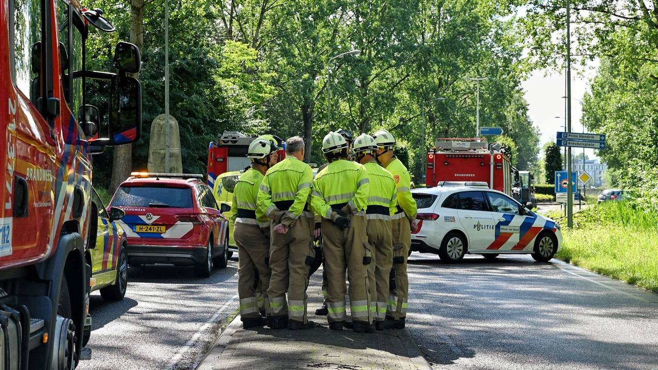 Boom die dodelijk ongeluk veroorzaakte, was maanden eerder al geïnspecteerd