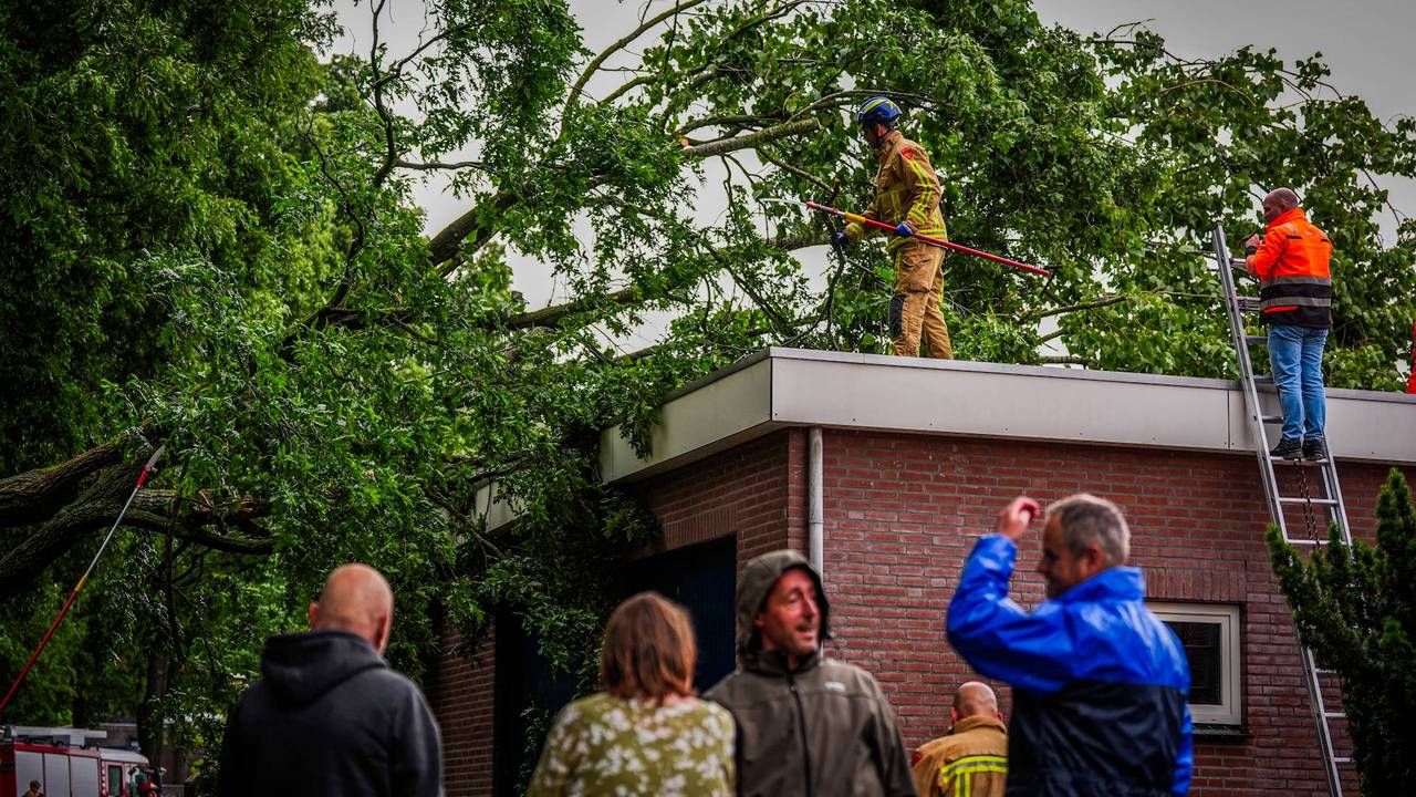 Foto: Persbureau Heitink.