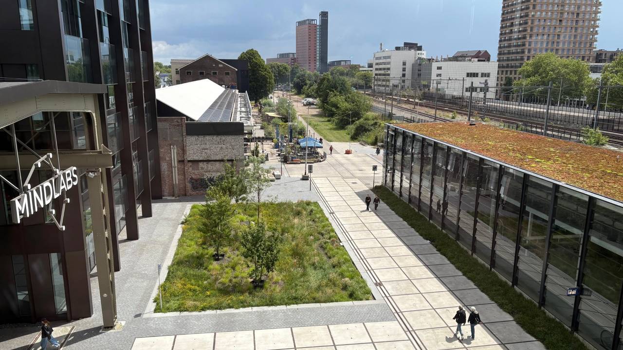 Het gebied langs het spoor in 2026 (foto: Pieter Soethout).