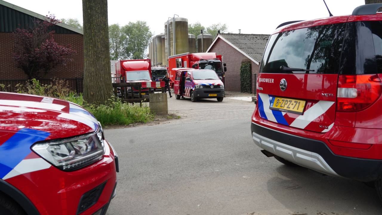 De brandweer rukte uit voor tientallen varkens in een mestput.(foto: SQ Vision).
